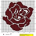 Rose rouge