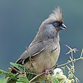 P1060445