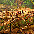 Le postosuchus