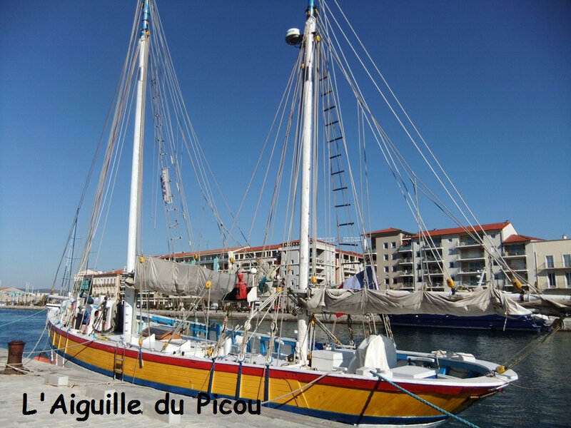 DSCF3834 - Copie