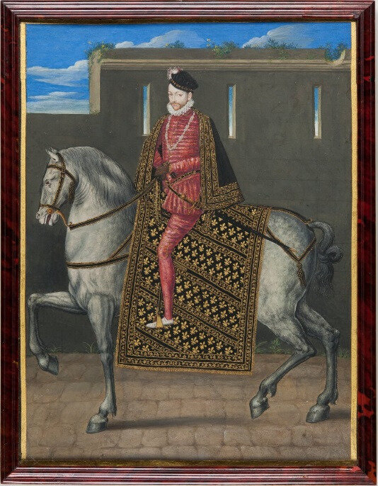 Charles IX, Suede