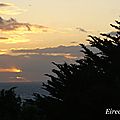 DSC08298