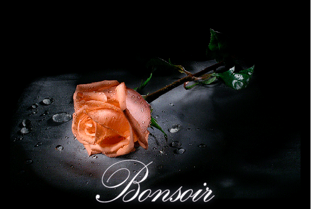 bonsoir