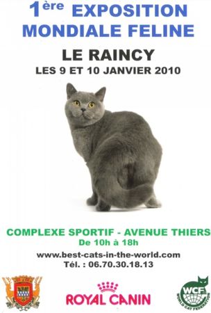 affiche_expo_chat