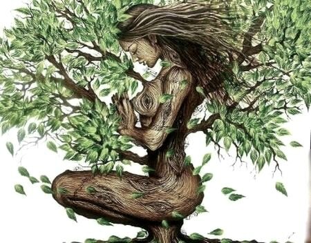 femme arbre