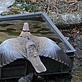 IMG_3894 - Copie
