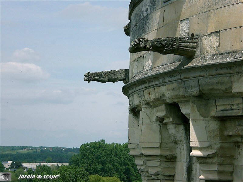 Gargouilles du Château d'Amboise