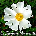 2017/05 Jardin de Marguerite