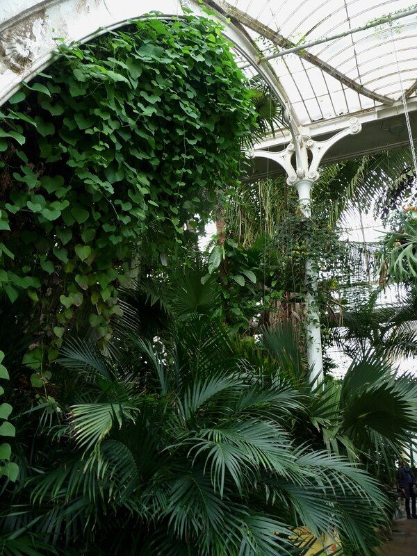 Palm House à Kew