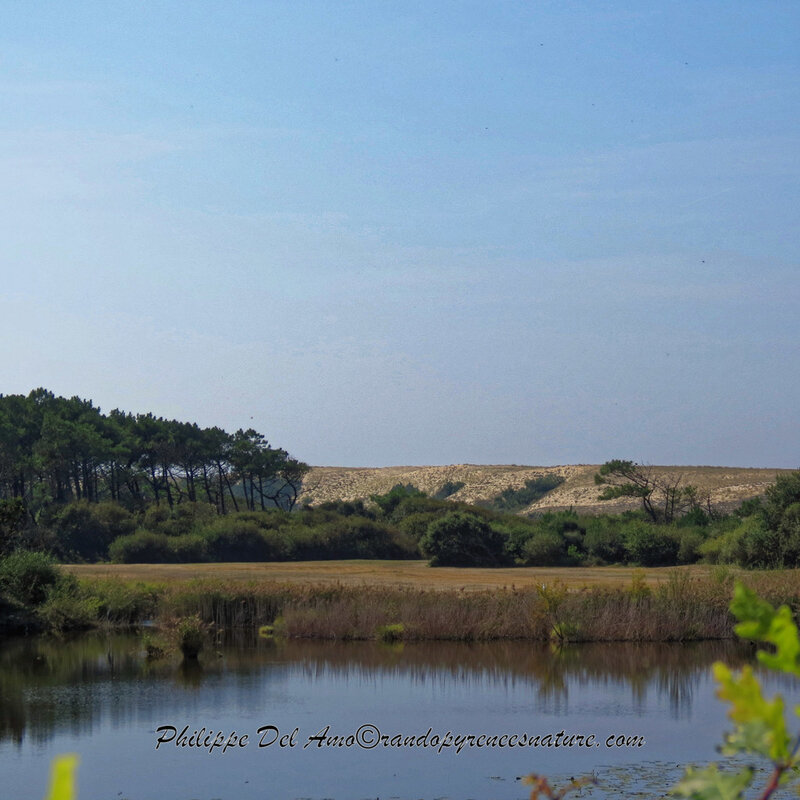 IMG_8909_DxO
