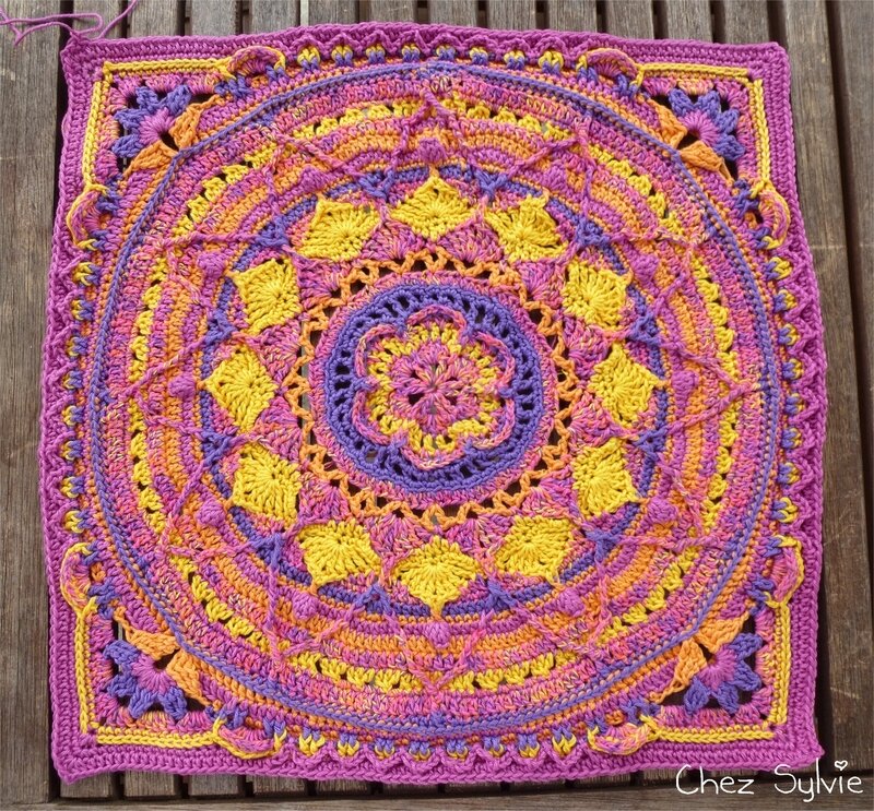 Coussin1 au 18-09-12