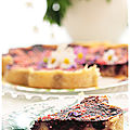 Tarte aux yaourt, myrtilles et pralines roses....omnicuiseur ou four traditionnel!