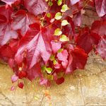 2012-10-085
