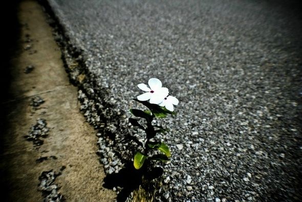 resilience-5_7__1___2_