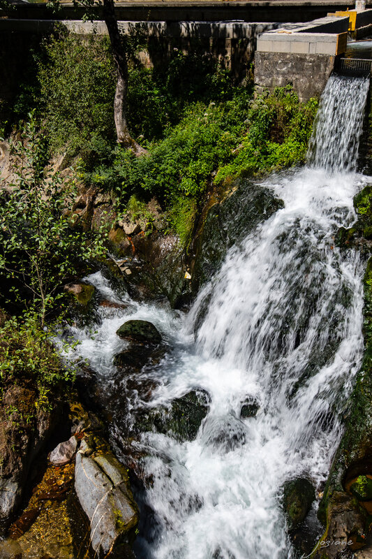 16082019-_MG_5517