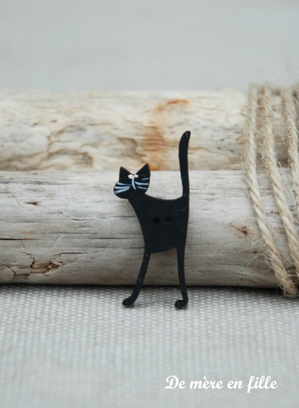 chat noir 2