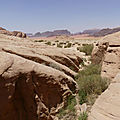 P1010796