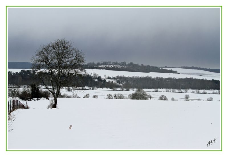 Neige_2010_12_19_1527_GF
