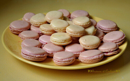 066 Macarons 1