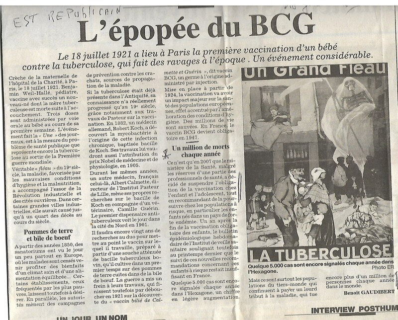 BCG ARTICLE