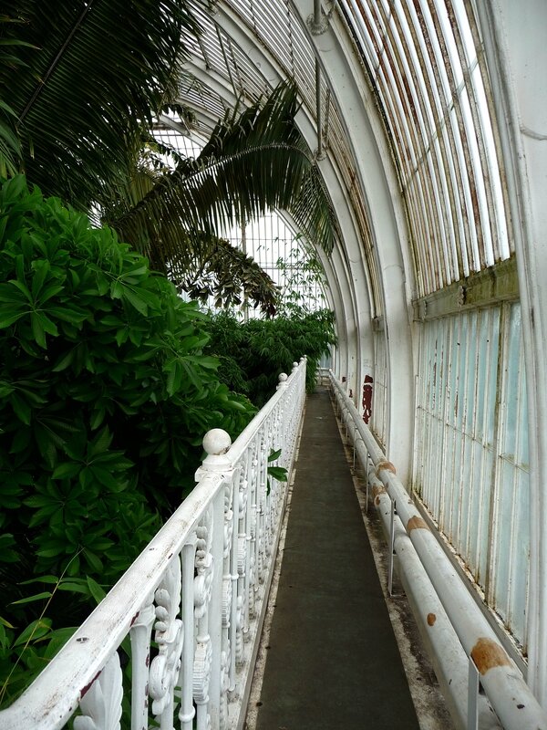 Palm House à Kew