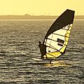 IMG_8557