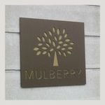 mulberry-logo-thumb-200x200-111919