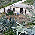 P1190491