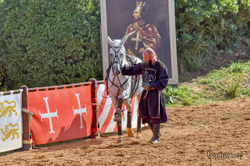 Légende Lithographique Sceaux du Moyen-âge – Le cheval Normand au Moyen-âge (11)