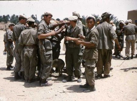 12_RCA_NONNEZ_Guellalia_3serie_8_m_choui