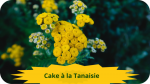 28 TANAISIE(5)cake à la Tanaisie-modified