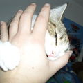20102009 551