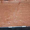 Gâteau au chocolat en trois textures mais rapide à réaliser!