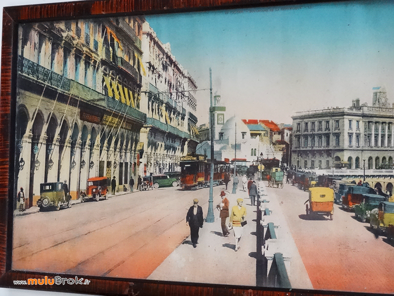 ANCIENNE-GRAVURE-ALGER-2-muluBrok-Brocante-en-ligne
