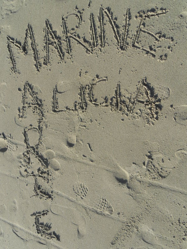 J Ai Fais L Amour Avec La Mer à la mer 1/6 - ma vie à moi