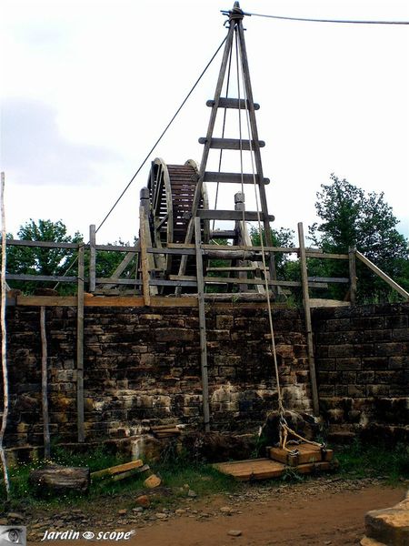 Grue_a_tambour