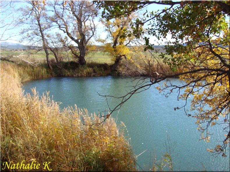 _c_LNK_le_12_novembre_2010_022_copie