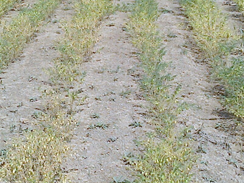 Photo0122