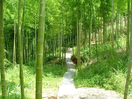 Foret pour Percer le Bambou, Travail du bambou
