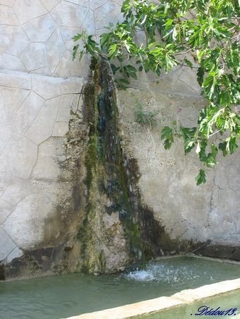 visan_richerenches__grillon_345