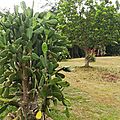 IMG_20170902_073126_21small