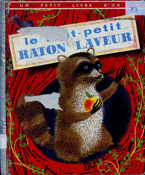 raton63 020