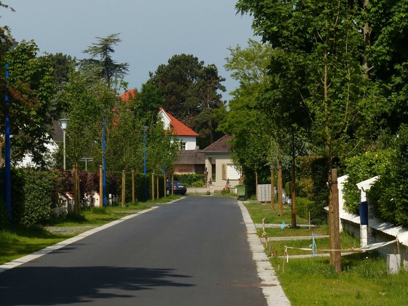 P1650746