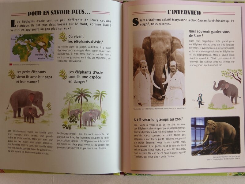 L'histoire vraie de Siam l'éléphant 2
