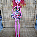collection poupées monster high