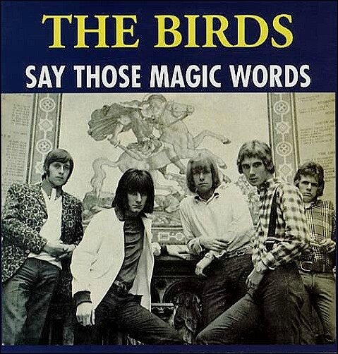 THE_BIRDS_SAY+THOSE+MAGIC+WORDS-330292