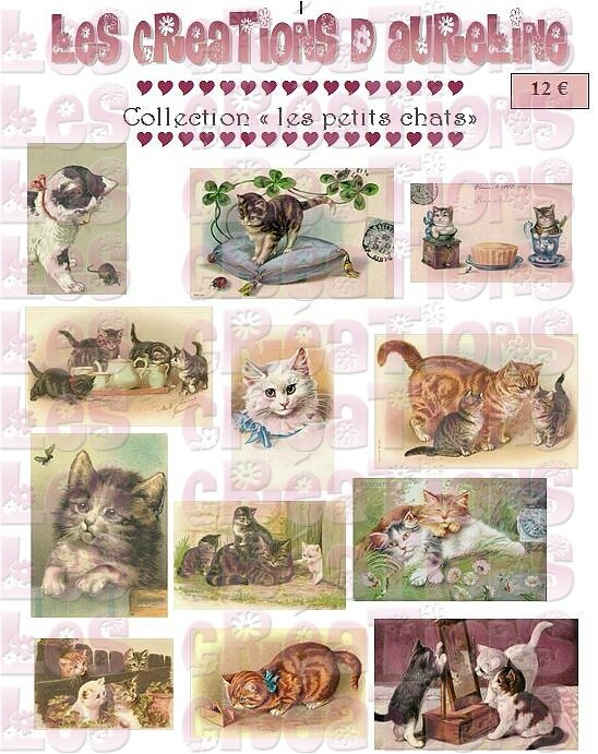 pochette les petits chats