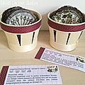 Zero waste #22 : pour un noël doux avec la planète #5