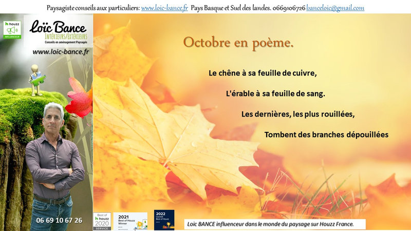 Octobre-en-poème-Paysagiste-Pays-Basque-Paysagiste-Landes