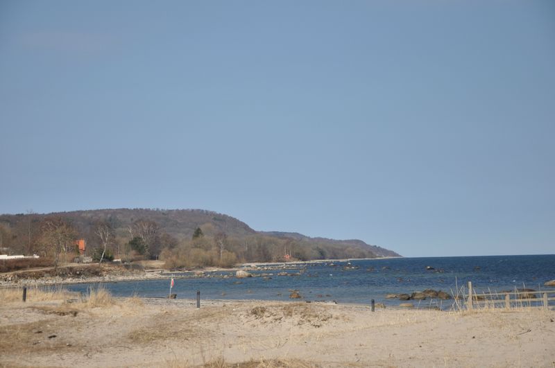 DSC_1240